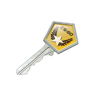 Winter Offensive Case Key