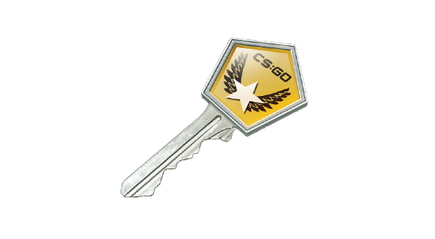 Winter Offensive Case Key