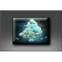 Amorphotic Shell