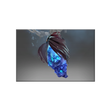 free dota2 item Autographed Cloak of the Frost Lord
