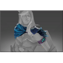 Mantle of the Wyvern Skin