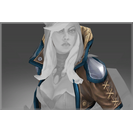 Coat of the Frostborne Wayfarer