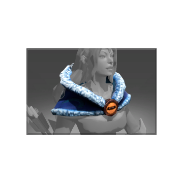 free dota2 item Autographed Snowstorm Mantle