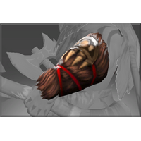 Bracers of the Wild Tamer
