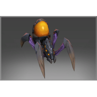 Amber Queen's Spiderling