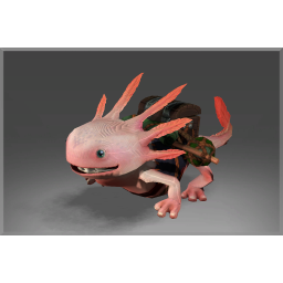 Inscribed Axolotl