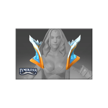 free dota2 item Autographed Shawl of the Glacier Duster