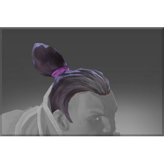 Hair of the Witch Hunter