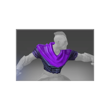 free dota2 item Autographed Tunic of the Survivor