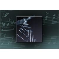 Matt Lange Abstraction Music Pack