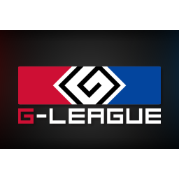 G-League 2013