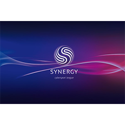 Synergy League Season 1 Ticket