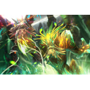 Loading Screen of the Ageless Witness