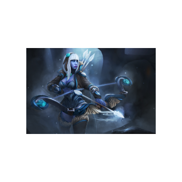 free dota2 item The Frostborne Wayfarer