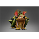 Almond the Frondillo