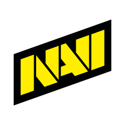 Natus Vincere Team Sticker - TI 2022