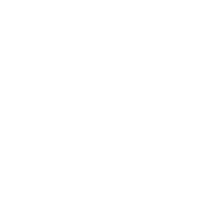 Team Spirit Team Sticker - TI 2022