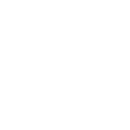 Gold Tundra Esports Team Sticker - TI 2022