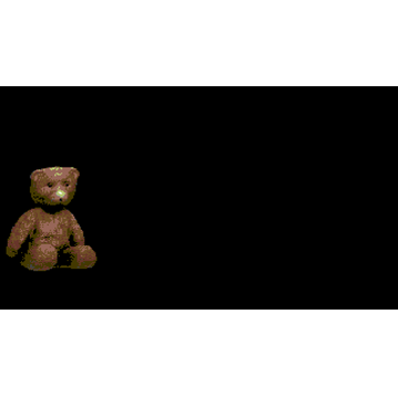 teddy market