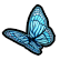 :butterfly2: