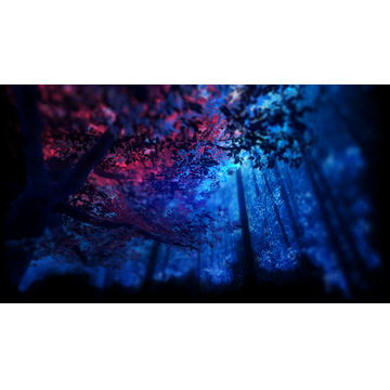 360fx360f