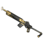 PCS2 Gilded Triumph - Mini14