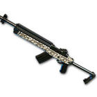 Desert Digital - Mini14