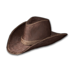 Cowboy Hat (Brown)
