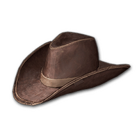 Cowboy Hat (Brown)