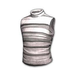 Sleeveless Turtleneck (Gray Striped)