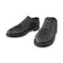 Dress Shoes (Black)