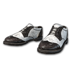 Fancy Shoes