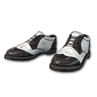 Fancy Shoes