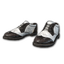 Fancy Shoes