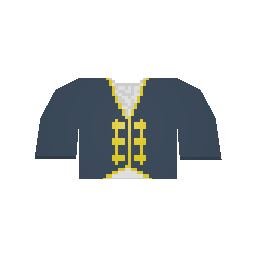 Navy Top