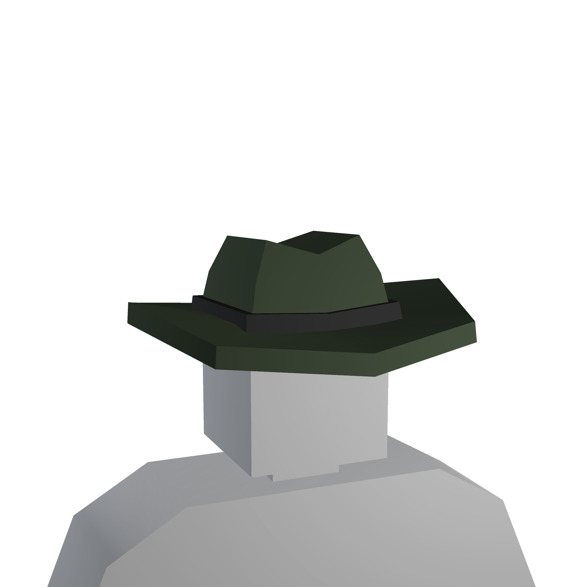 Sheriff Hat