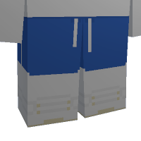 Blue Sport Shorts