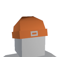 Orange Beanie