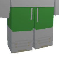 Green Sport Shorts
