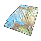 Scientist Rug