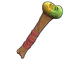Ice Cream Club
