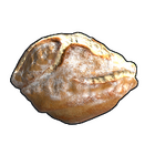 content image