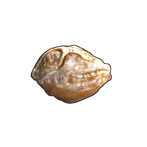 Sourdough Bread