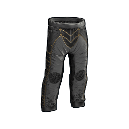 Dragon Pants