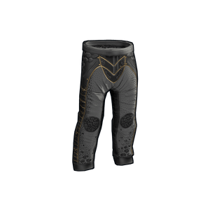Dragon Pants