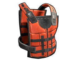 Kayak Vest