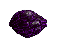 Obsidian Rock