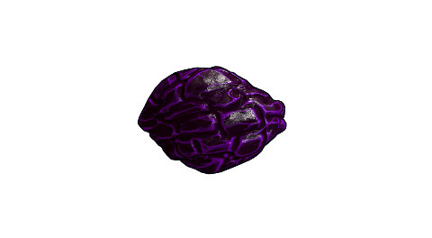 Obsidian Rock