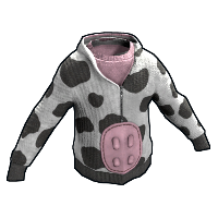 asset image