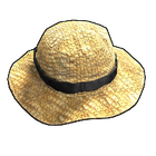 content image